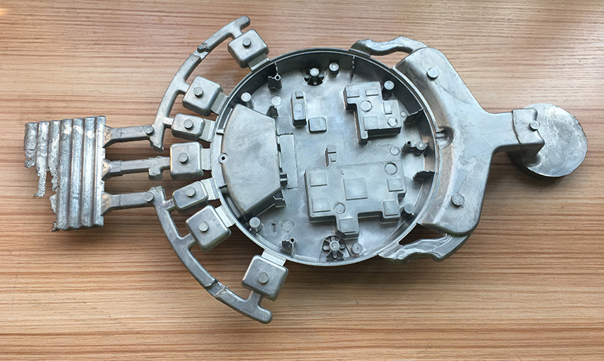 MOLD31