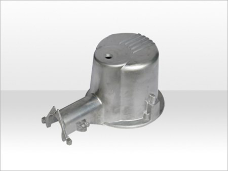 MOLD24