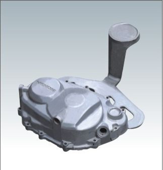 MOLD16